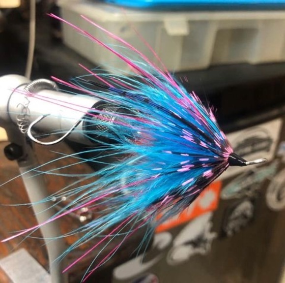 Meet your Posher, Dejocks - Picture 1 of 1